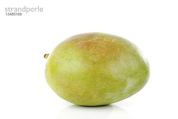 Mango (Mangifera indica)