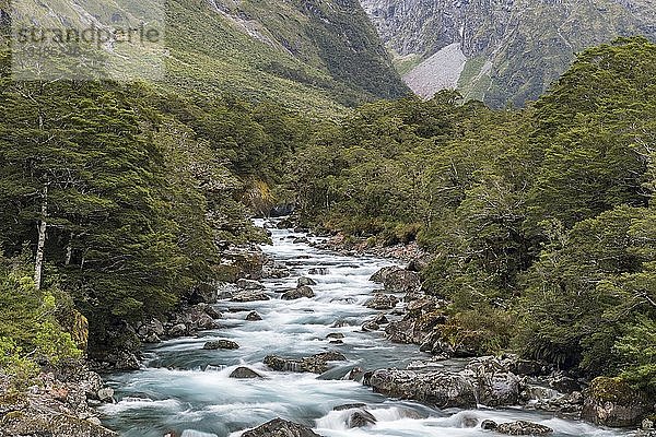 Der Hollyford River fließt durch den Fiordland National Park  Milford Highway  Südinsel  Neuseeland  Ozeanien