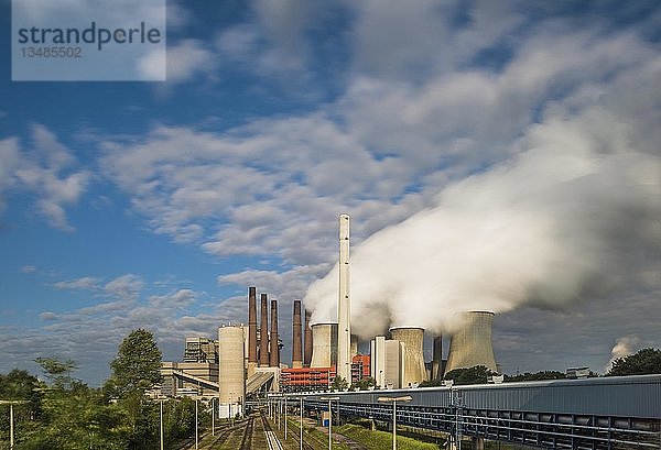 Steinkohlekraftwerk Neurath I  in der Morgensonne Grevenbroich  Nordrhein-Westfalen  Deutschland  Europa