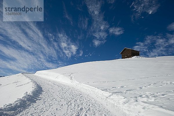 Winterwanderweg aufwärts unter blauem Himmel  Graubünden  Schweiz  Europa