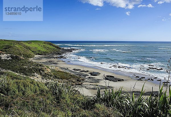 Küstenlinie im Arai-Te-Uru Recreation Reserve  Hafen von Hokianga  Northland Westküste  Nordinsel  Neuseeland  Ozeanien