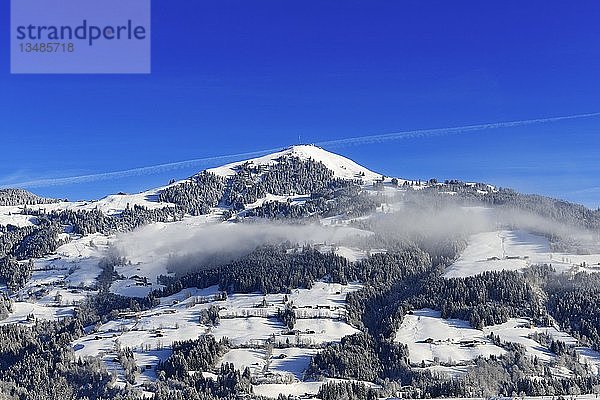 Hohe Salve  Blick vom Gruberberg  Hopfgarten  Kitzbüheler Alpen  Tirol  Österreich  Europa