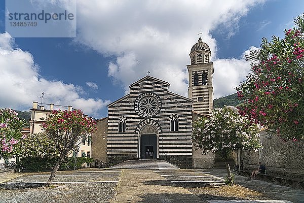 Die gotische Kirche Chiesa di Sant'Andrea Apostolo  vor Oleanderbäumen  Levanto  Riviera di Levante  Ligurien  Italien  Europa