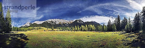 Almwiesen und Bergwald mit Blick auf das Wettersteingebirge  Südwand in Leutasch  Tirol  Österreich  Europa