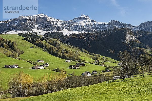 Grüne Weiden im Appenzellerland vor der Kulisse der schneebedeckten Appenzeller Alpen  Kanton Appenzell-Innerrhoden  Schweiz  Europa