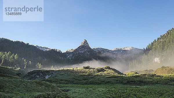 Schottmalhorn im Morgennebel  Wanderweg zur Wasseralm über Niederbrunnsulzen  Nationalpark Berchtesgaden  Bayern  Deutschland  Europa