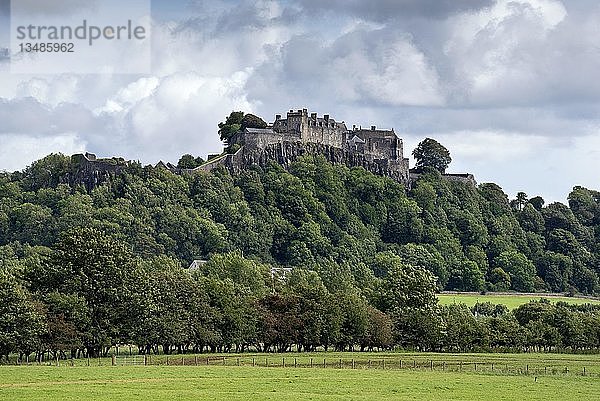 Stirling Castle  Stirling  Schottland  Vereinigtes Königreich  Europa