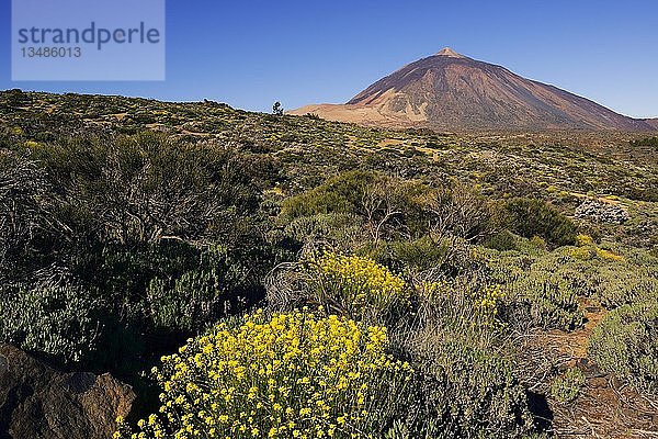 Vulkan Teide  Teide-Nationalpark  Parque Nacional de las CaÃ±adas del Teide  Teneriffa  Kanarische Inseln  Spanien  Europa