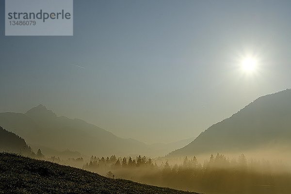 Morgennebel im Tal  Blick auf den Wendelstein  Aurach bei Fischbachau  Oberbayern  Bayern  Deutschland  Europa