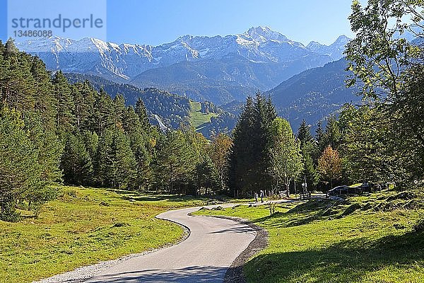 Wanderweg am Wank gegen das Wettersteingebirge mit Dreitorspitze 2682m  Garmisch-Partenkirchen  Werdenfelser Land  Oberbayern  Bayern  Deutschland  Europa