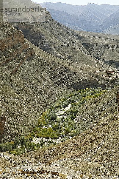 Oase in der Dades-Schlucht  Atlasgebirge  Provinz Drâa-Tafilalet  Marokko  Afrika