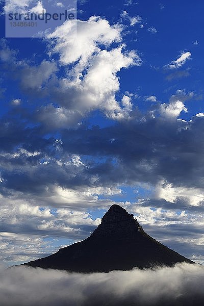 Blick von Camps Bay zum Lion's Head  Kapstadt  Westkap  Südafrika  Afrika