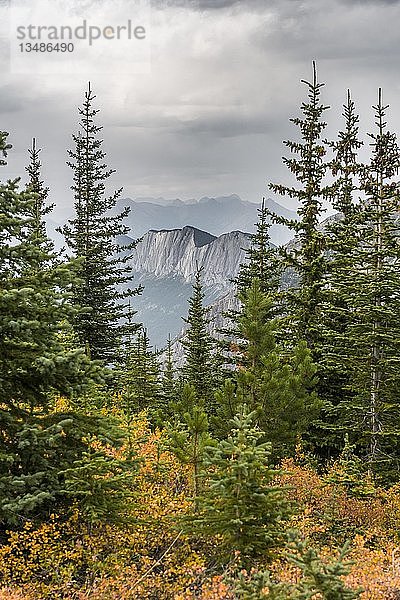 Markanter Gebirgszug  Ashlar Ridge  Ashlar Ridge  Jasper National Park  British Columbia  Kanada  Nordamerika