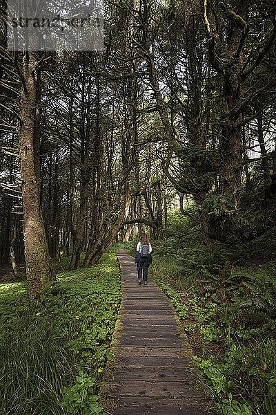 Touristin auf ihrem Weg durch den Regenwald  Pacific Rim National Park  Vancouver Island  British Columbia  Kanada  Nordamerika