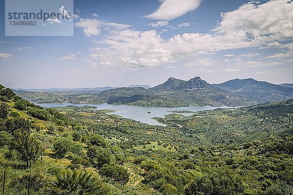 GrÃ?ne Landschaft mit Stausee Zahara-El Gastor Stausee  Sierra de CÃ¡diz  Sierra de CÃ¡diz  CÃ¡diz  Spanien  Europa