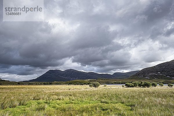 Blick über die Moorlandschaft zum Mount Arkle  Nordwestliche Highlands  Sutherland  Schottland  Großbritannien
