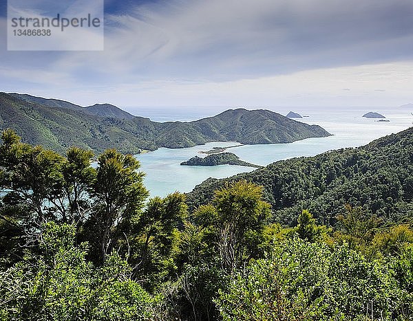 Blick über die Marlborough Sounds  Südinsel  Neuseeland  Ozeanien