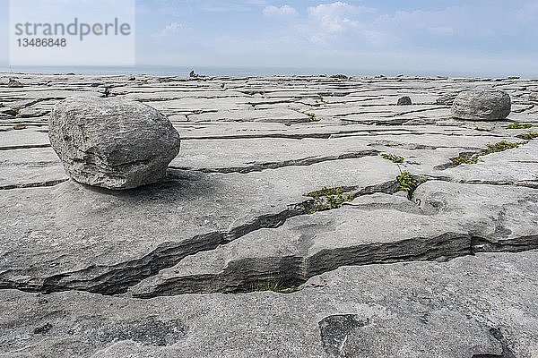 Felsen und Säulen in der Burren-Karstlandschaft  Ballyvaughan  Grafschaft Clare  Republik Irland