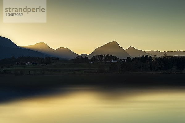 Abendlicht am Ufer des Hopfensees  Allgäuer Alpen im Hintergrund  Füssen  Region Ostallgäu  Allgäu  Bayern  Deutschland  Europa