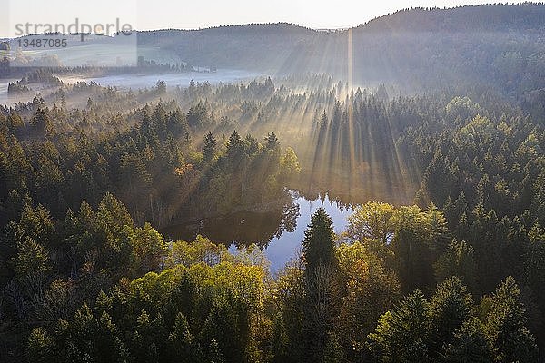 Sonnenstrahlen über Wald mit Nebelschwaden  Sonnenaufgang  Naturschutzgebiet Klosterfilz  Dietramszell  Drohnenaufnahme  Tölzer Land  Oberbayern  Bayern  Deutschland  Europa