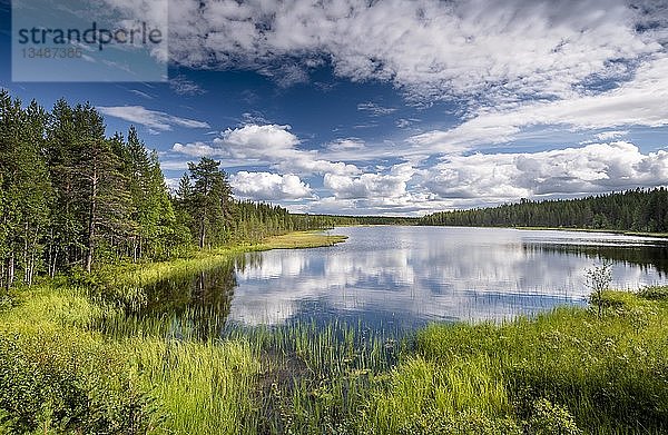 Himmel und Wolken spiegeln sich im See  Waldtundra  Lappi  Finnland  Europa