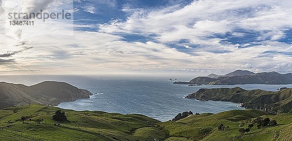 Blick auf Wiesen und felsige Küste am French Pass  Region Marlborough  Marlborough Sounds  Picton  Südinsel  Neuseeland  Ozeanien