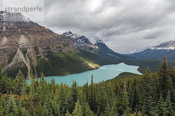 Wolken hängen in Bergspitzen  türkisfarbener Gletschersee umgeben von Wald  Peyto Lake  Rocky Mountains  Banff National Park  Provinz Alberta  Kanada  Nordamerika