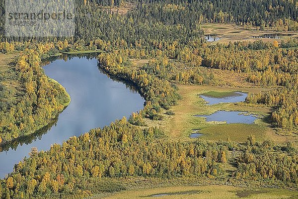 Flusslandschaft im Herbst  Fluss TarraÃ¤tno  Kvikkjokk  Laponia  Norrbotten  Lappland  Schweden  Europa