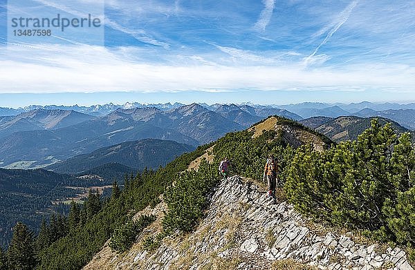 Wanderer bei der Überquerung der Blauberge  vom Predigtstuhl über Blaubergschneid  Blaubergkopf und Karschneid nach Halserspitz  Wildbad Kreuth  Oberbayern  Bayern  Deutschland  Europa