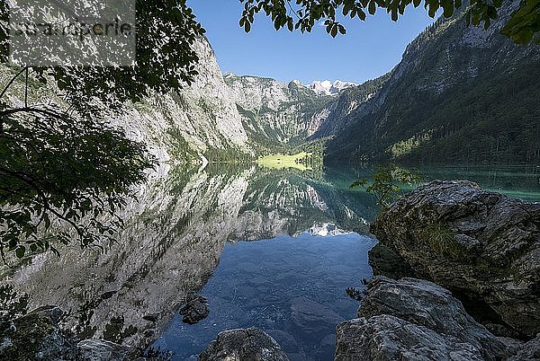 Obersee mit Wasserspiegelung  Heck Teufelshörner  Salet am Königssee  Nationalpark Berchtesgaden  Berchtesgadener Land  Oberbayern  Bayern  Deutschland  Europa