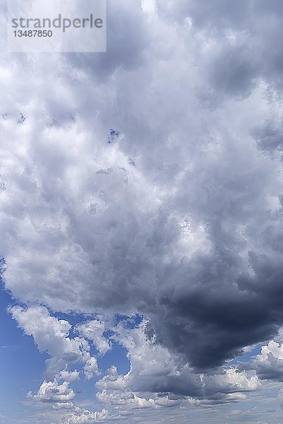 Regenwolken (Nimbostratus)  Bayern  Deutschland  Europa