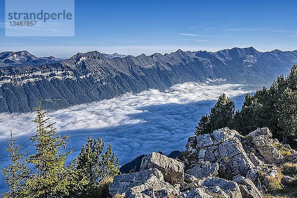 Brienzersee im Nebel  Blick von der Daube  Schynige Platte  Berner Alpen  Schweiz  Europa