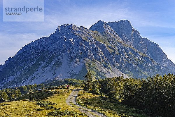 Gebirge Marin krs und Kom Vasojevici  Komovi-Gebirge  bei Andrijevica  Montenegro  Europa