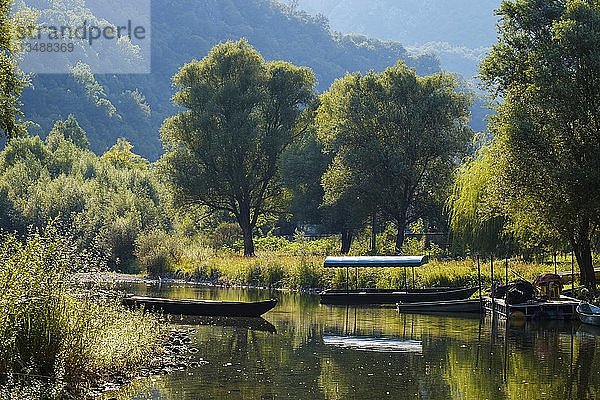 Boote auf dem Fluss Crnojevic  Rijeka Crnojevica  Nationalpark Skadarsee  bei Cetinje  Montenegro  Europa