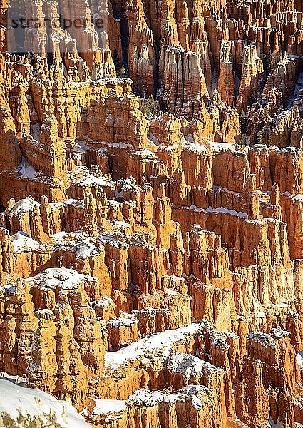 Schneebedeckte bizarre Felslandschaft mit Hoodoos im Winter  Inspiration Point  Bryce Canyon National Park  Utah  USA  Nordamerika