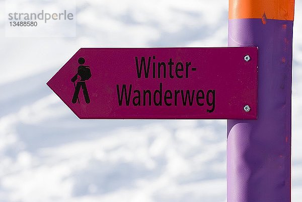 Schild an einem Winterwanderweg  Graubünden  Schweiz  Europa