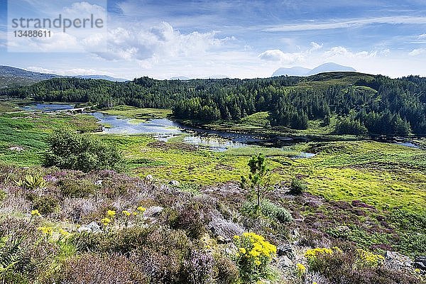Blick über die Moorlandschaft am Loch Dubhaird Mor in den nördlichen Highlands  Sutherland  Schottland  Vereinigtes Königreich  Europa