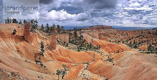 Queens Garden Trail mit Sandsteinsäulen oder Hoodoos  durch Erosion entstandene Landschaft  Bryce Canyon National Park  Utah  Vereinigte Staaten  Nordamerika