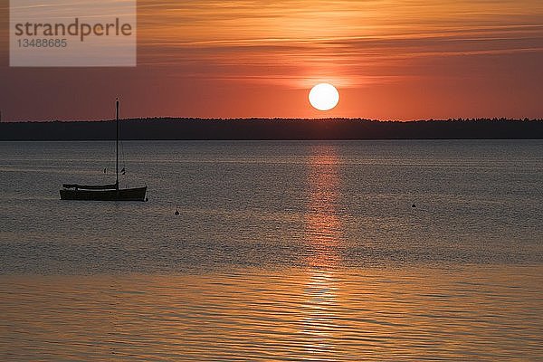 Silhouette eines Bootes bei Sonnenuntergang auf dem Steinhuder Meer  Steinhude  Niedersachsen  Deutschland  Europa