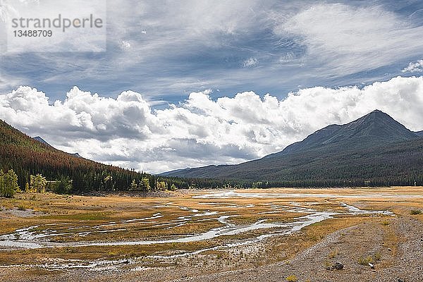 Ein Bach schlängelt sich durch eine Graslandschaft  Maligne Valley  Jasper National Park National Park  Canadian Rocky Mountains  Alberta  Kanada  Nordamerika