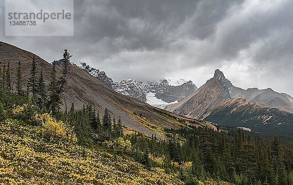 Blick auf Mount Athabasca und Hilda Peak im Herbst  Parker Ridge  Jasper National Park National Park  Kanadische Rocky Mountains  Alberta  Kanada  Nordamerika