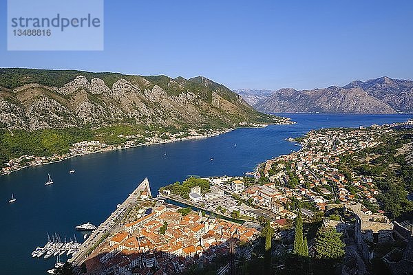 Altstadt von Kotor und Dobrota  Blick von der Festung Sveti Ivan  Bucht von Kotor  Montenegro  Europa
