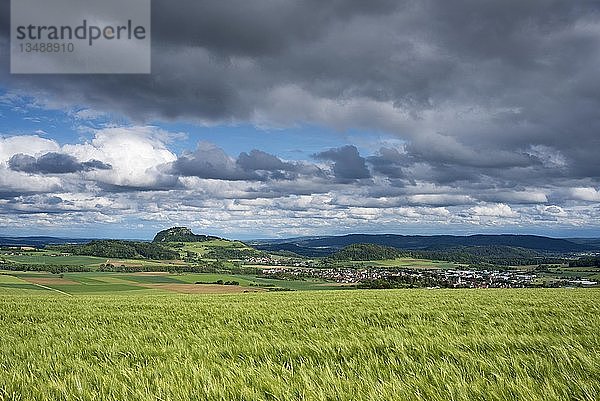 Getreidefelder  Hegauberg Hohentwiel und Hilzingen dahinter  Konstanz  Hegau  Baden-WÃ¼rttemberg  Deutschland  Europa