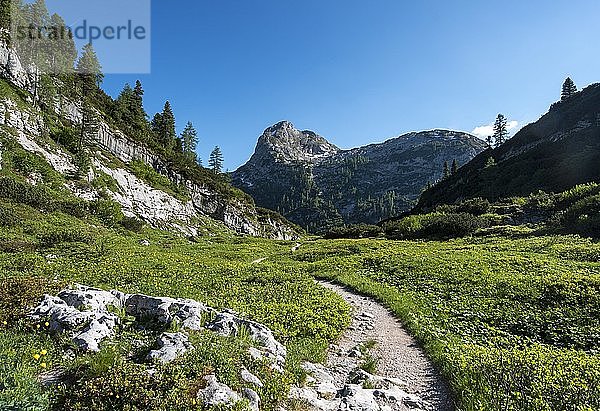 Wanderweg zum Kärlingerhaus  hinter dem Gipfel des Viehkogels  Nationalpark Berchtesgaden  Berchtesgadener Land  Oberbayern  Bayern  Deutschland  Europa