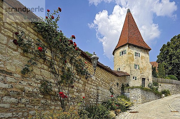 Mittelalterliche Stadtmauer mit Wehrturm  Altstadt  Greding  Mittelfranken  Franken  Bayern  Deutschland  Europa