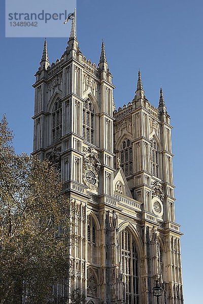 Westminster Abbey  London  England  Großbritannien