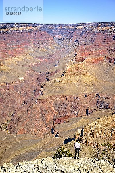 Frau  Person stehend vor der gigantischen Schlucht des Grand Canyon  Blick vom Rim Trail  zwischen Mather Point und Yavapai Point  erodierte Felslandschaft  South Rim  Grand Canyon National Park  bei Tusayan  Arizona  USA  Nordamerika