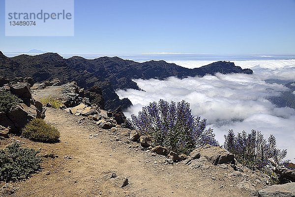 Pfad am Kraterrand mit Blick auf die Caldera  Roque de los Muchachos  Nationalpark Caldera de Taburiente  Kanarische Inseln  La Palma  Spanien  Europa