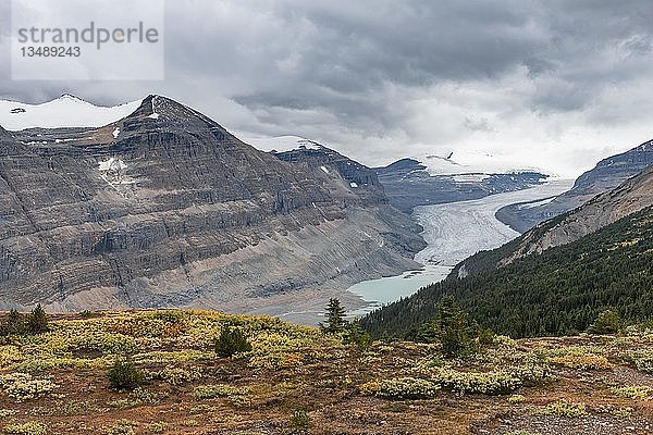 Blick in Tal mit Gletscherzunge  Parker Ridge  Saskatchewan Glacier  Athabasca Glacier  Jasper National Park National Park  Kanadische Rocky Mountains  Alberta  Kanada  Nordamerika