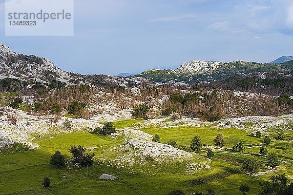 Lovcen-Nationalpark  in der Nähe von Cetinje  Montenegro  Europa